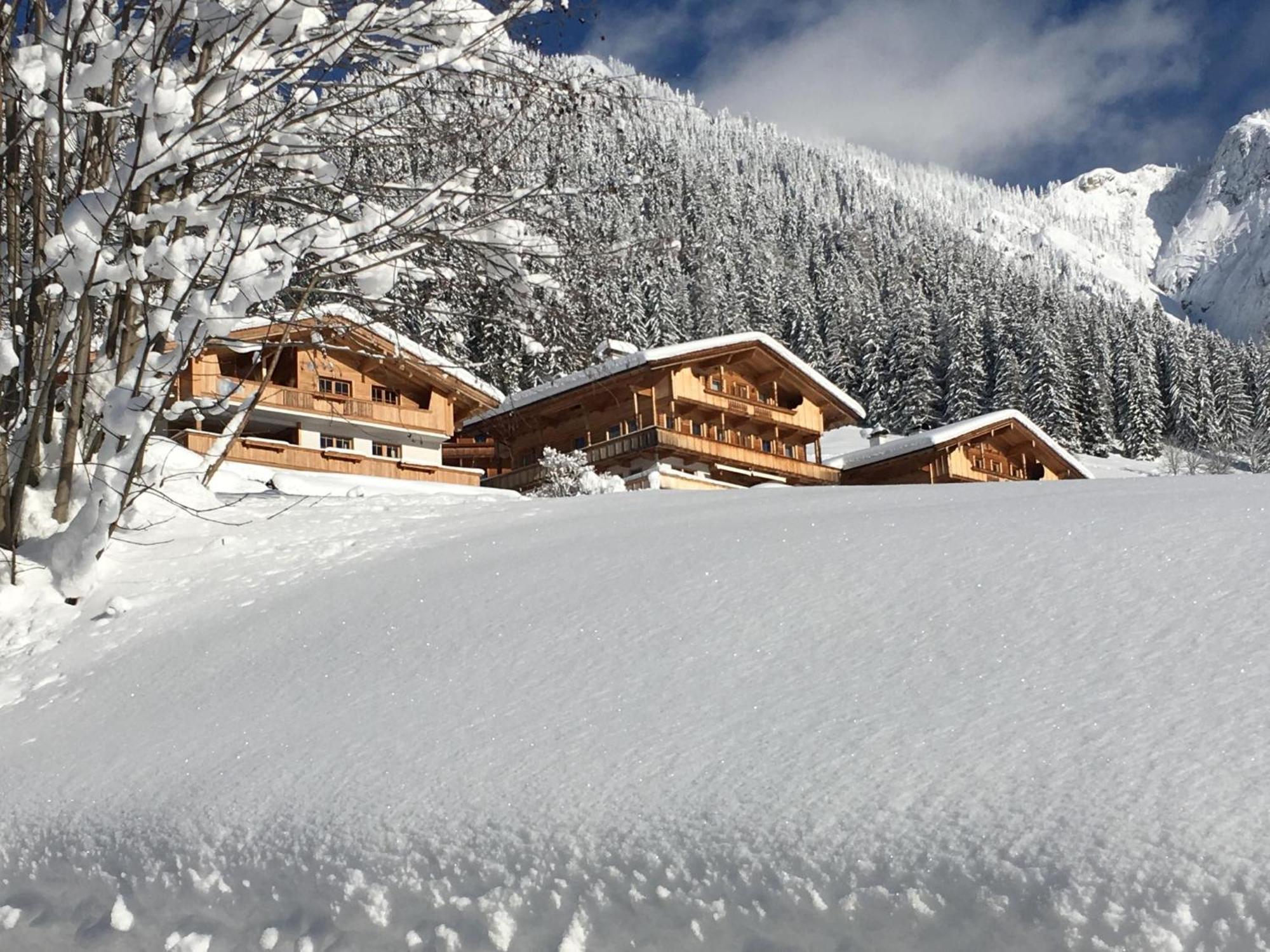 Haus Fernwald Top Tim Und Nynke Apartment Alpbach Exterior photo