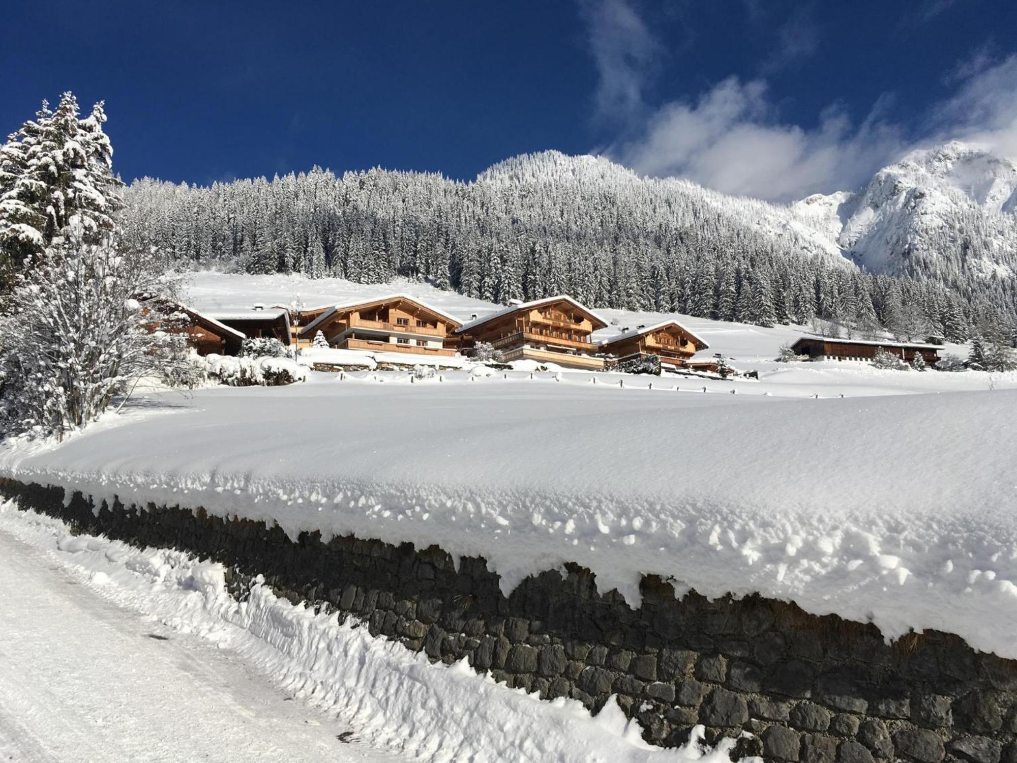 Haus Fernwald Top Tim Und Nynke Alpbach Exterior photo